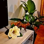 The Sunset Flat شقة