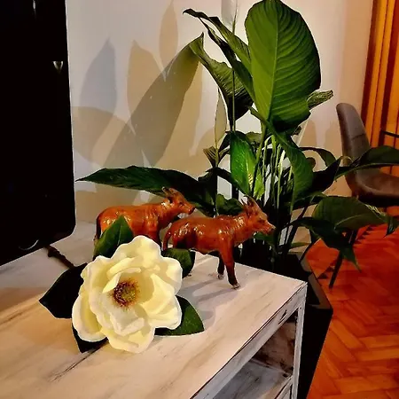 The Sunset Flat דירה